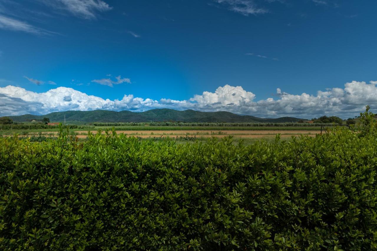 Agriturismo Lucerna Del Lago Prile Castiglione della Pescaia Zewnętrze zdjęcie
